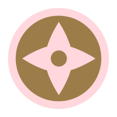 Ninja Star Sticker - gold and pink